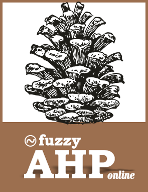 Fuzzy AHP software