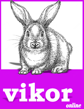 vikor software