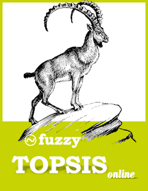 fuzzy topsis software