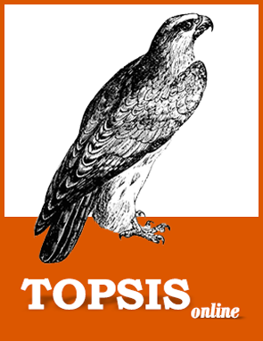 topsis software
