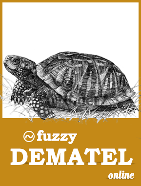 fuzzy dematel software